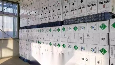 R438A R600A R32 R404A R507 R407c R290 R22 R134A R410A R227ea FM200 Gas refrigerante CA